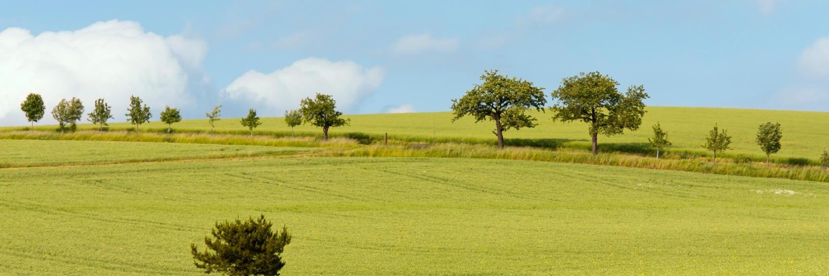 Die 10 besten Hotels in Bad Füssing (Ab € 30)