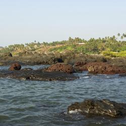 Анжуна 314 отелей