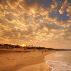 Кандолим 463 отеля