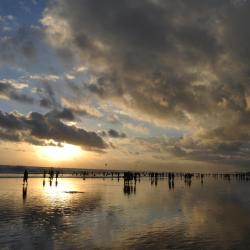 Легиан 378 отелей