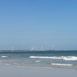 Danzhou 4 отеля