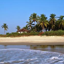 Бенаулим 160 отелей