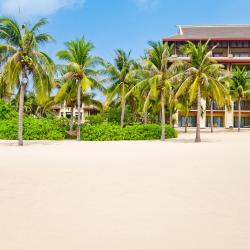 Changjiang 4 отеля