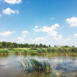 Барановичи