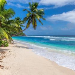 Mahibadhoo 7 отелей