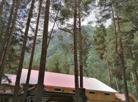 ЭЛЬБРУС МАРАЛ, отель в Эльбрусе, рядом находится Канатная дорога Эльбрус