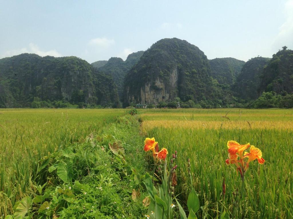 Tam Coc Mountain View Homestay