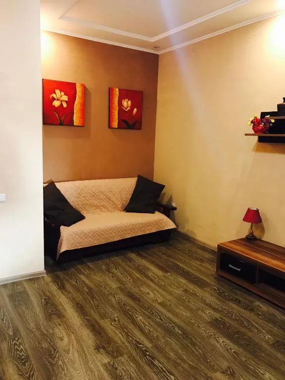 Apartment on Soborna 2, Kryzhanivka, Ukraine