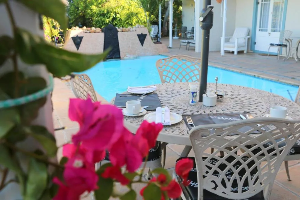 Paradiso Guesthouse & Self-catering Cottage, Cape Town, South Africa