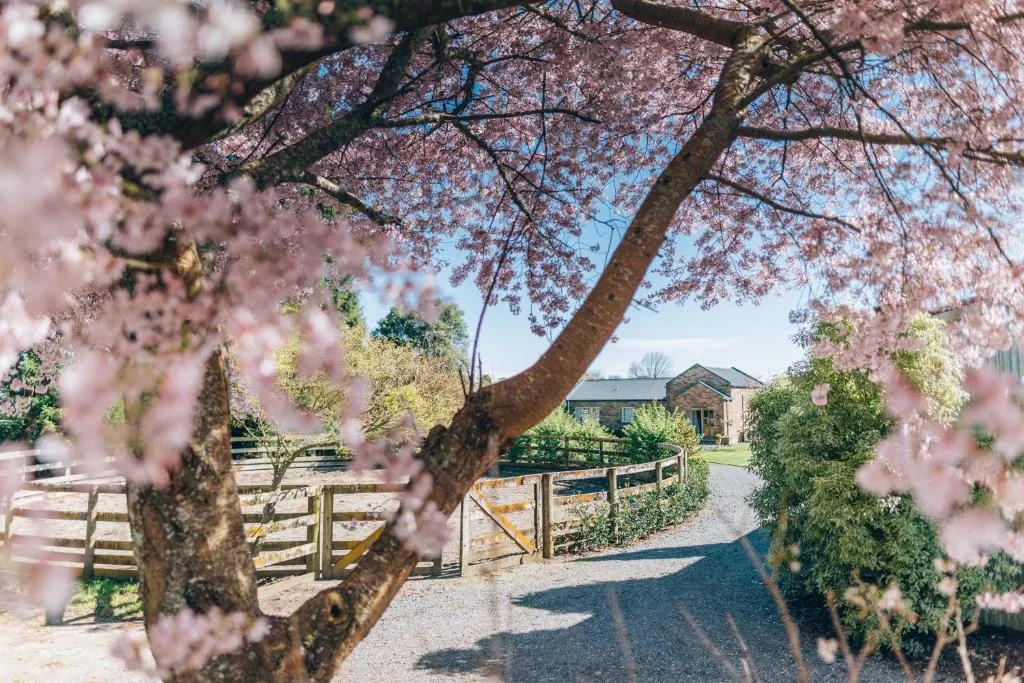 Lexington Park Cottages, Cambourne, New Zealand