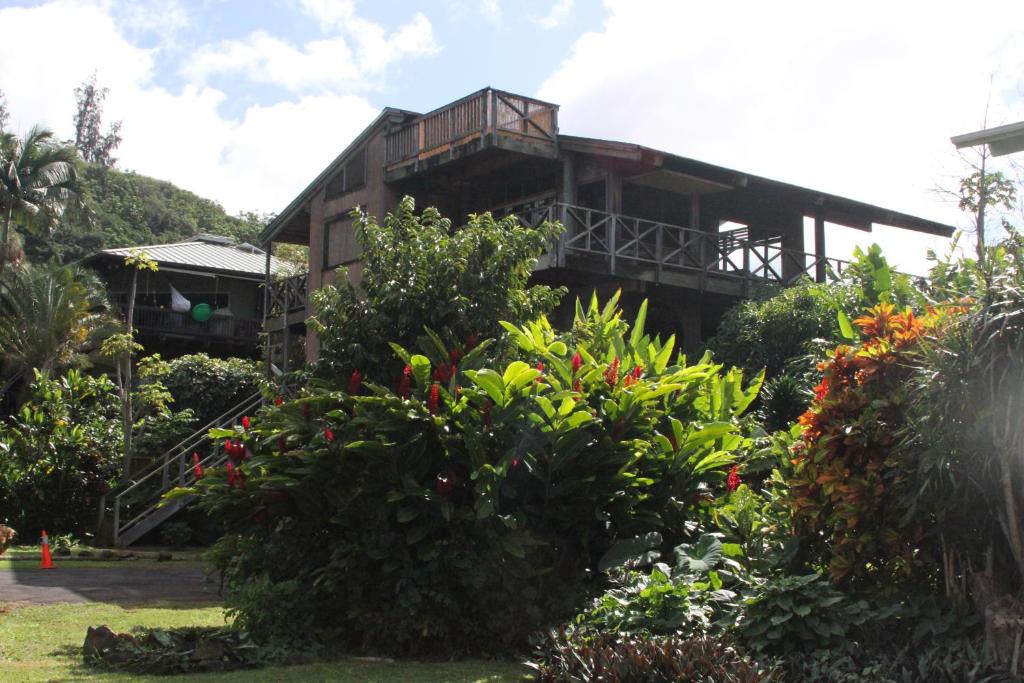 Backpackers Vacation Inn and Plantation Village