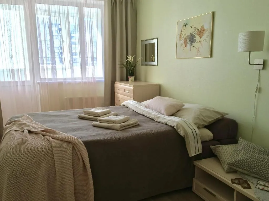 Ekaterina's apartment, Sankt Petersburg, Rusia