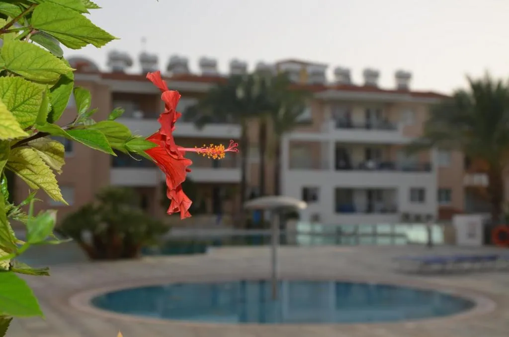 Iris Village, Paphos, Cyprus