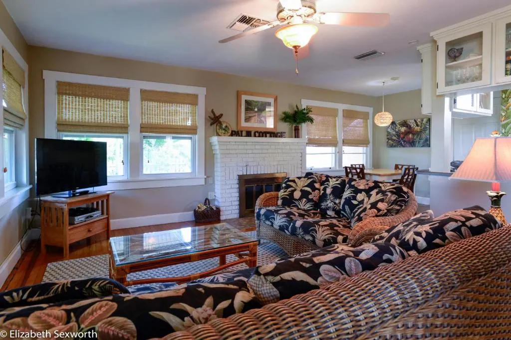 2 Bedroom - Palm Cottage Pets Waterfront District, Kudrovo, United States
