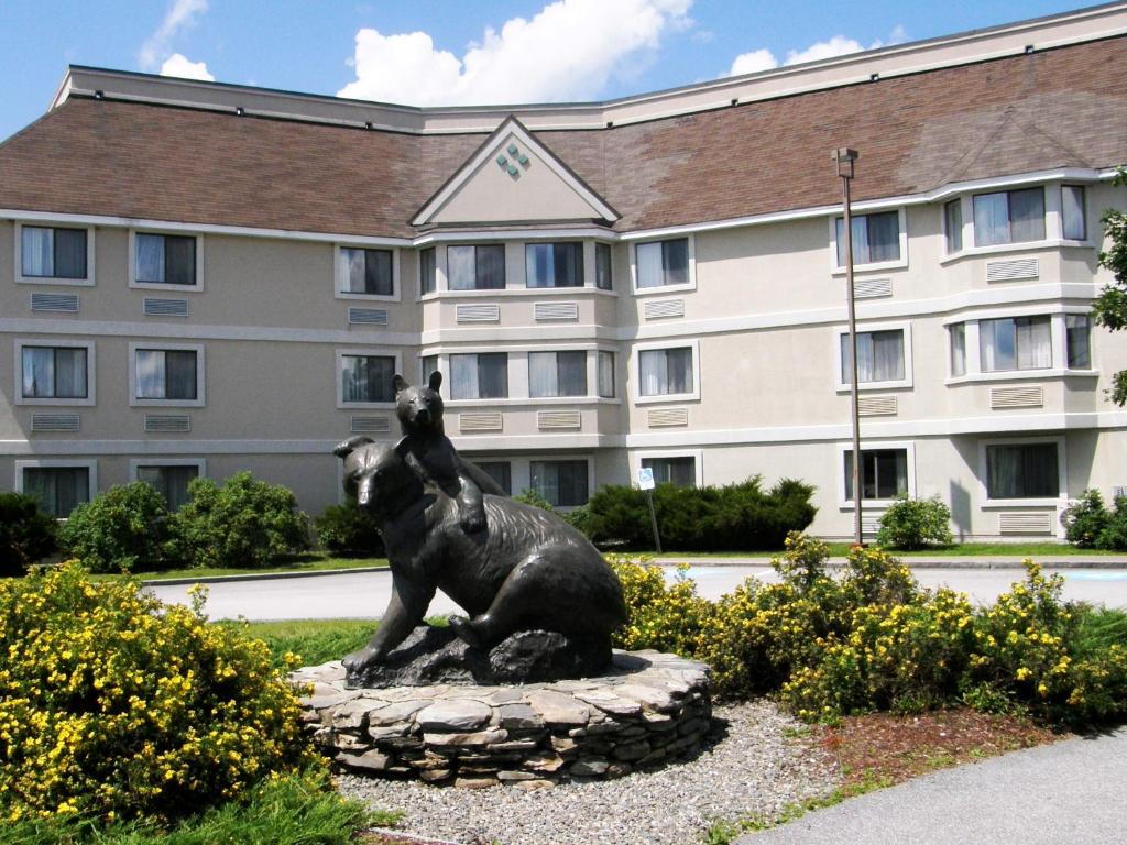 Black Bear Inn and Conference Center