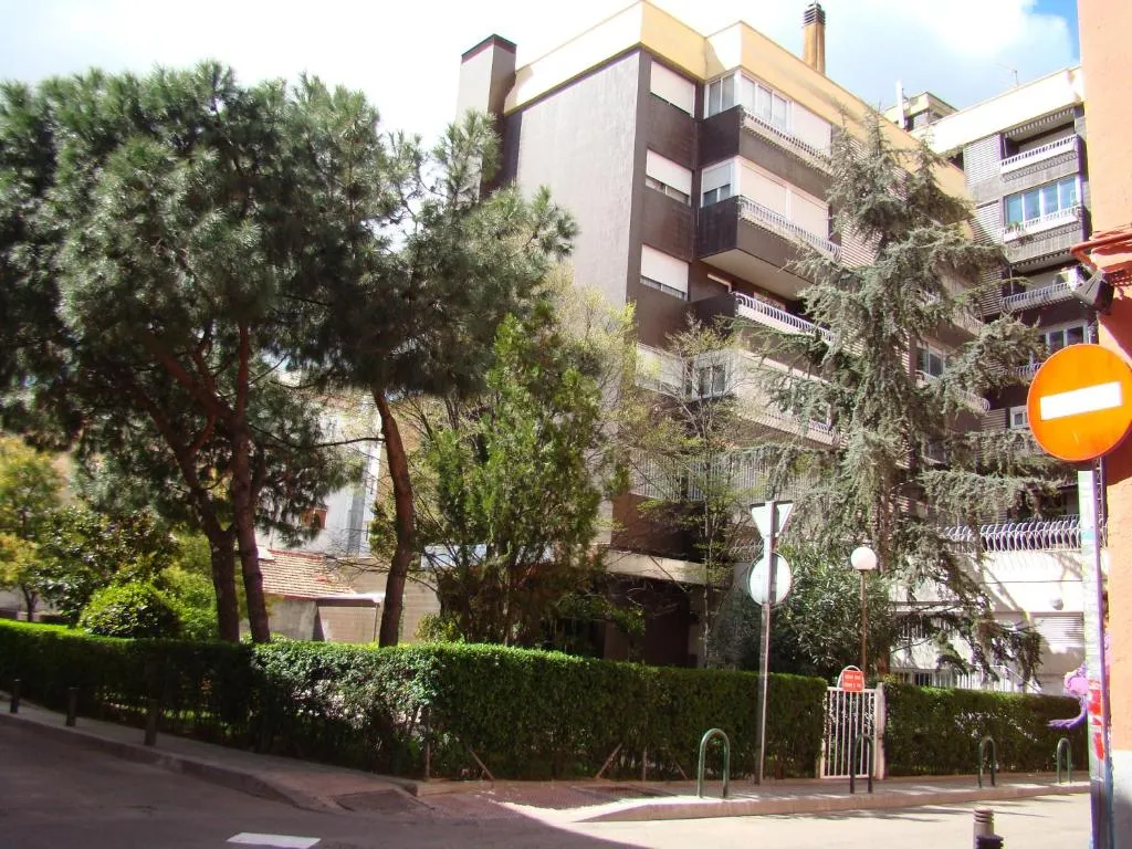 Roble, Madrid, Spain