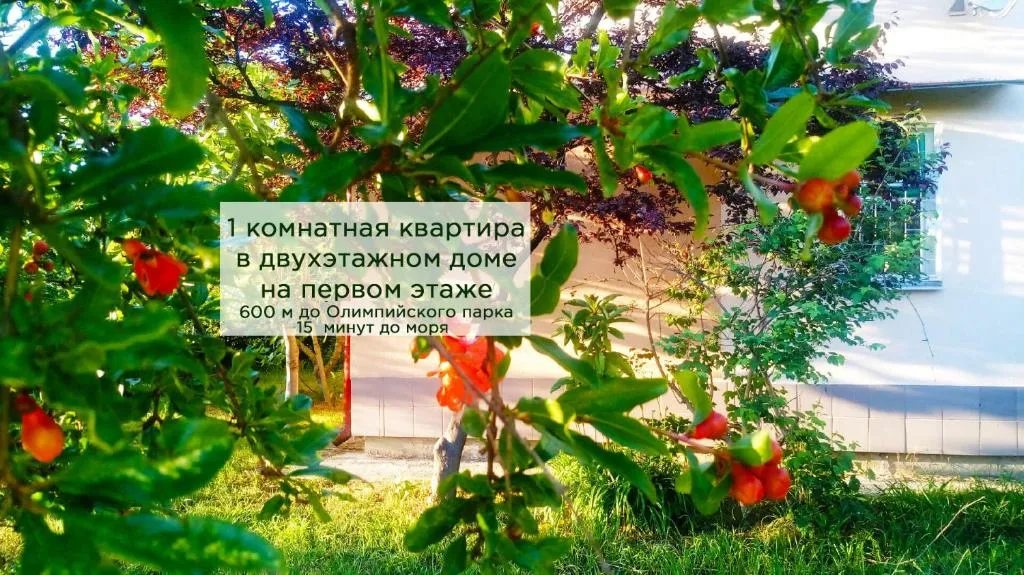 Apartment on Kazach'ya 58, Adler, Rusia