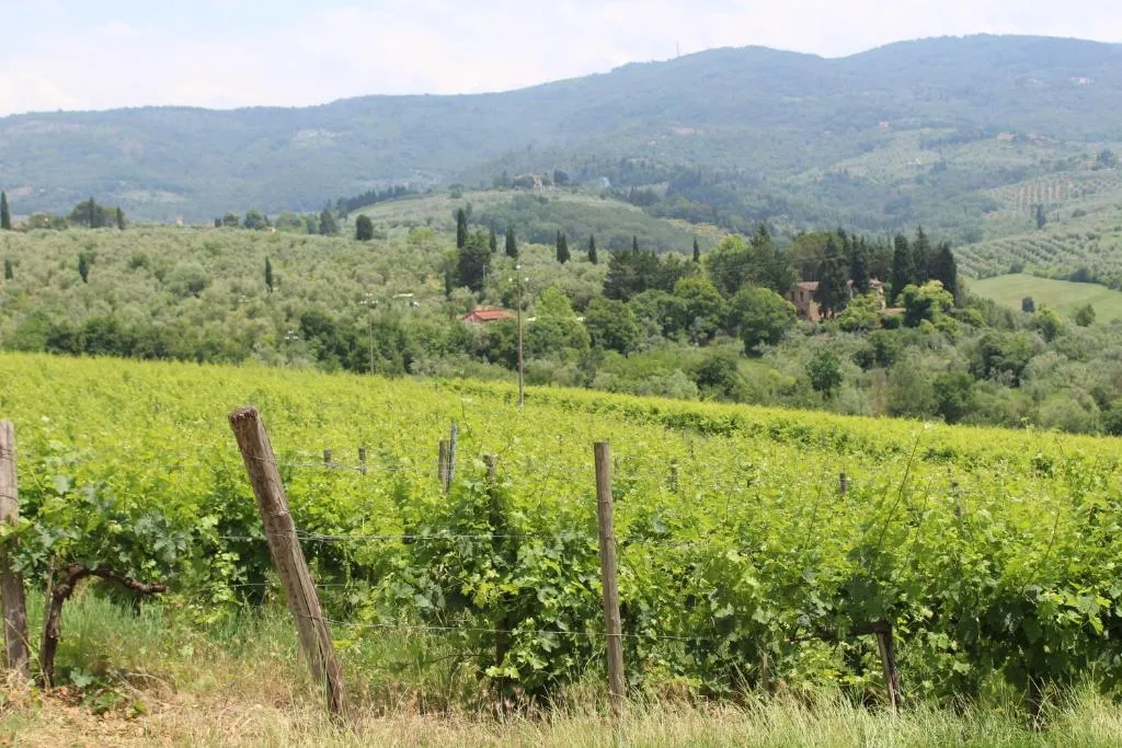 La Cascianella, Florența, Italia