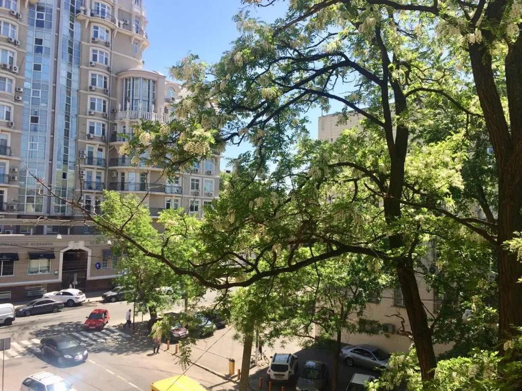 2-kh kom-ia kvartira v tsentre Odessy, Odesa, Ucraina
