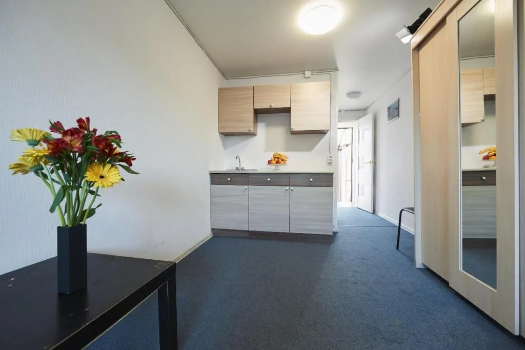 Apartment on Kolkhoznaya, Kudrovo, Russia