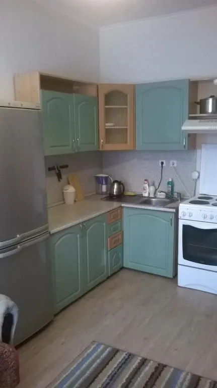 Apartment on Prazhskaya 11, Kudrovo, Russia
