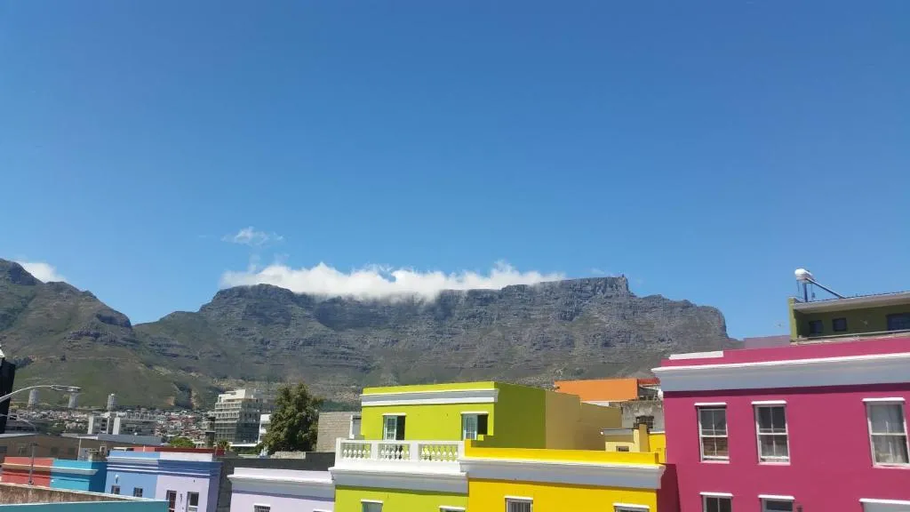 Greenhouse, Cape Town, Africa de Sud