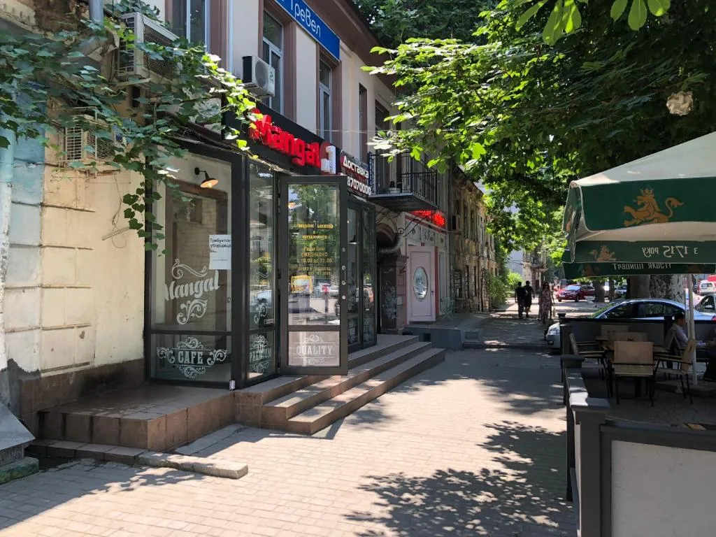 Center city apartment, Kryzhanivka, Ukraine