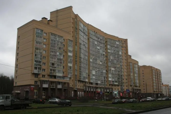Apartment on Aviakonstruktorov 49, Kudrovo, Russia