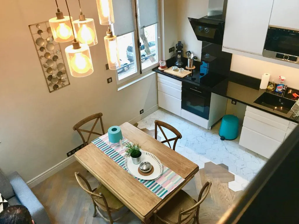 Duplex artist studio converted into a loft, Paris, Franţa