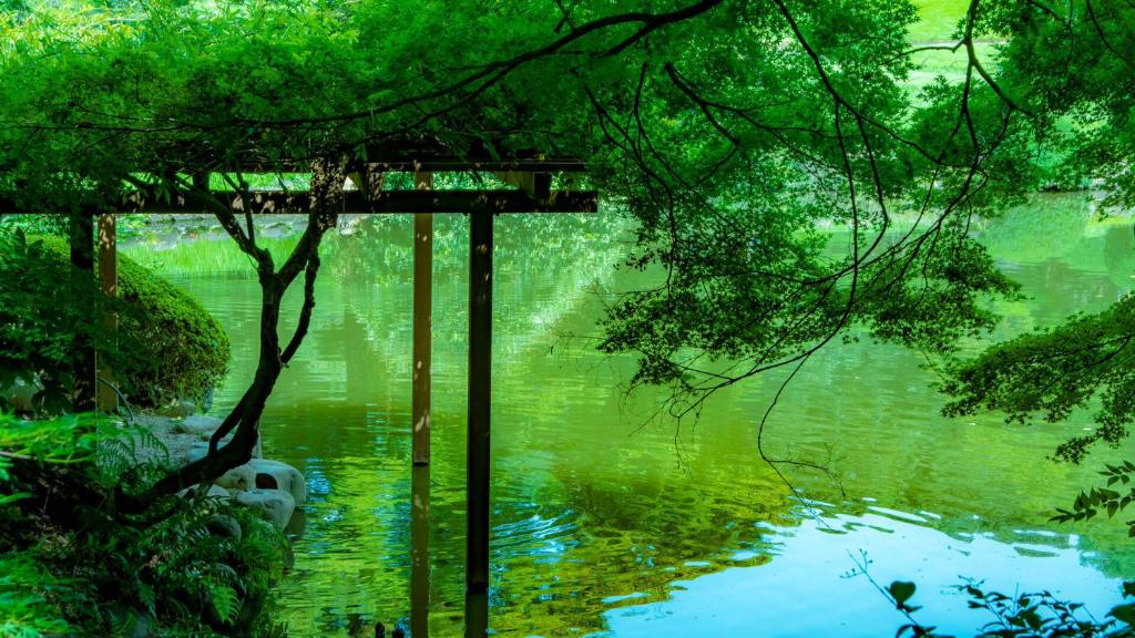 Ryokan Ichinao thumbnail 4