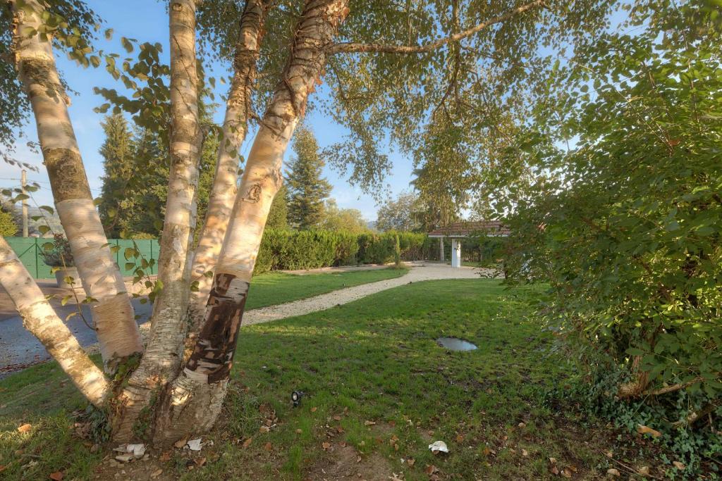 L'appartement du lac