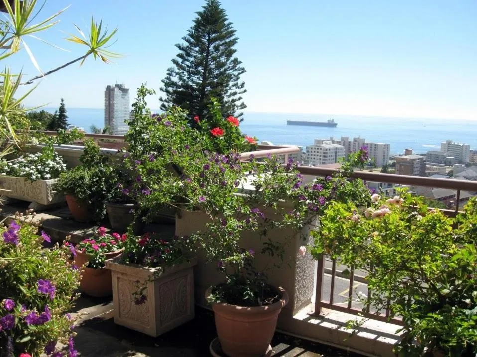 123 Ocean View Drive Apartment, Cape Town, South Africa