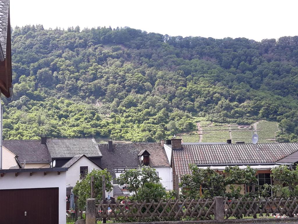 Mosel-Ferienwohnung Berhard