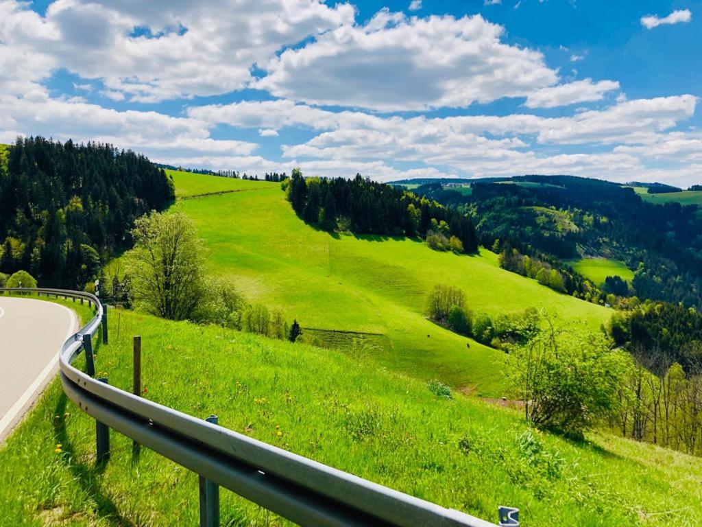 48qm Ferienwohnung mit großer Terrasse im Schwarzwald