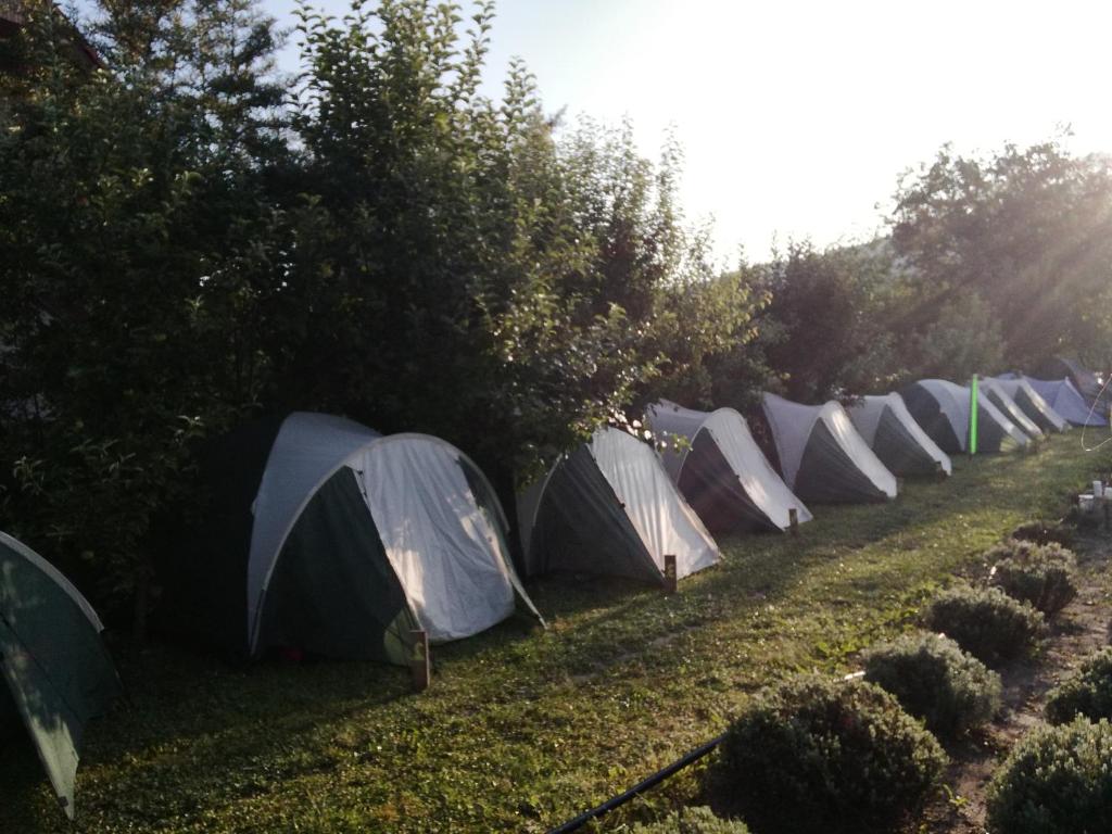 Lavender Garden Camping