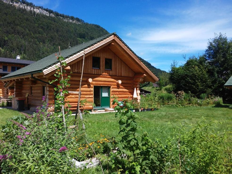 Dürrenstein Living – Natural Log House – Naturstammhaus
