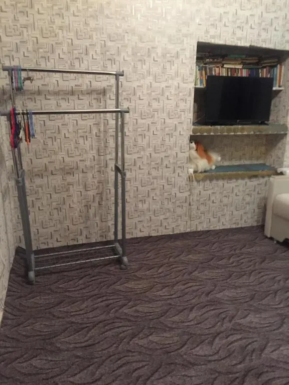 Rooms on Obvodnoy Kanal, Kudrovo, Russia