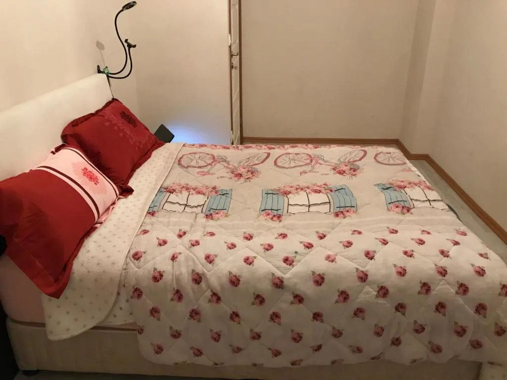 Azeemat Airbnb, Istanbul, Turkey