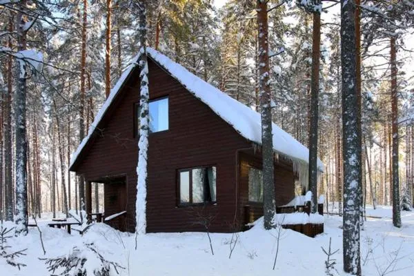 Гостевой дом, Kudrovo, Russia