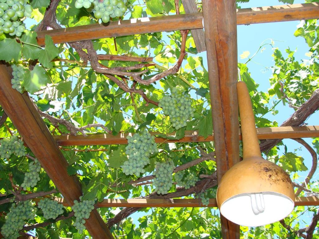 31 Dreamy Milos Greece Hotels 54 Tilemachos Rooms & Studios image