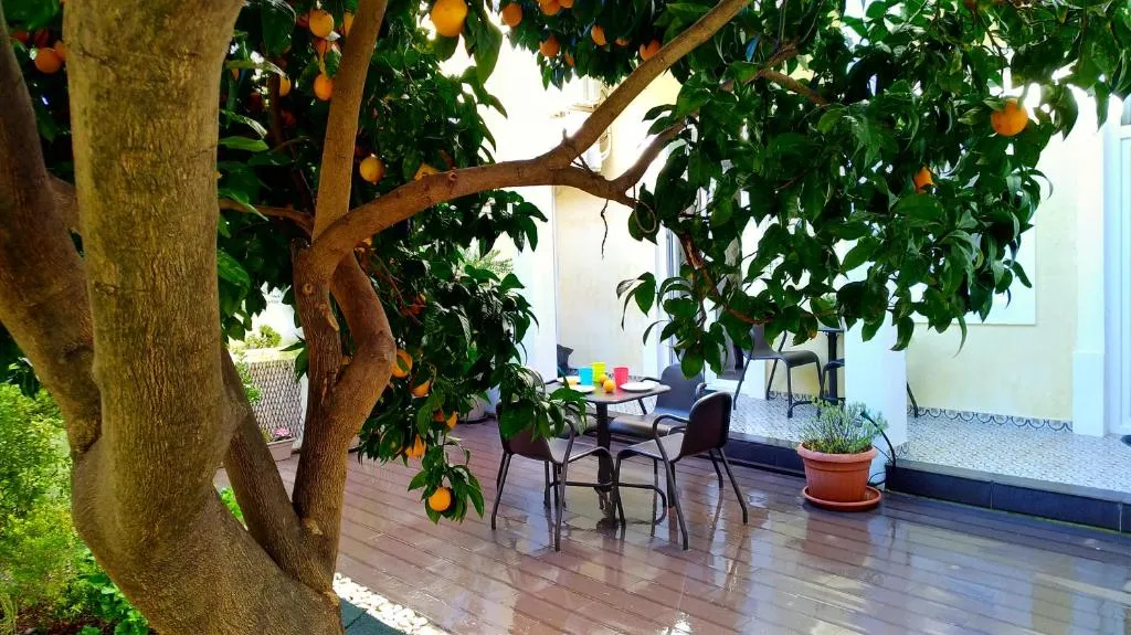 Sunny orange garden apartment in central Lisbon, Lisabona, Portugalia