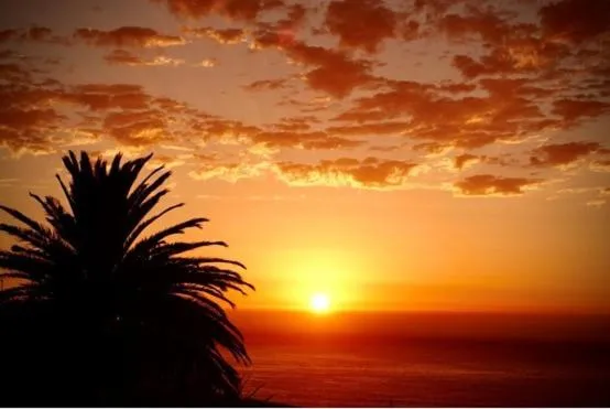 Cape Rose Cottage, Cape Town, South Africa