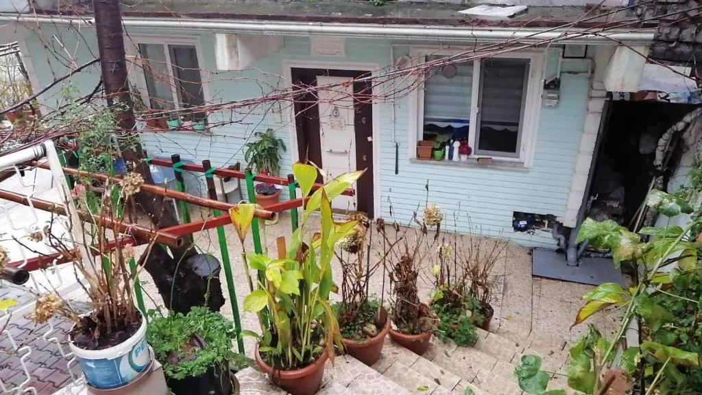 Nuhun Gemisi Liveasist Haber Odası, Istanbul, Turkey