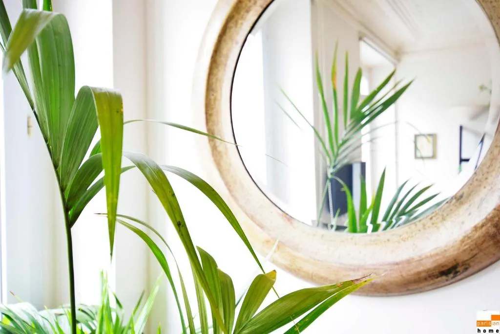 204340 - A two-room apartment with traditional chic style in the Marais, Paris, France