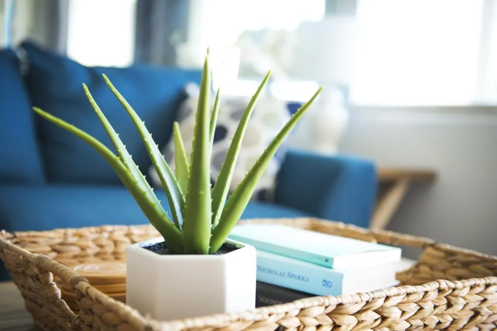 Gulf Shore Condo #105, Destin (FL), United States
