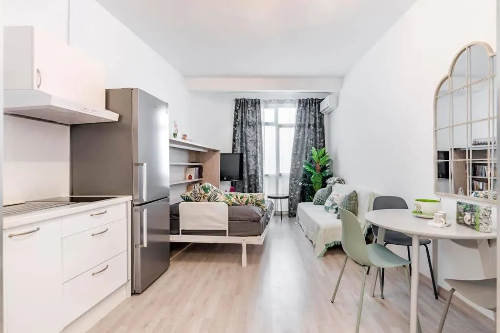 Eco Apartment in Gran Via, Madrid, Spain