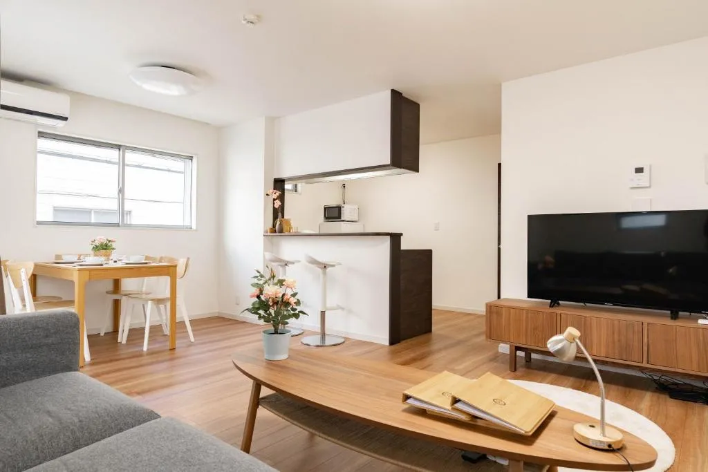 New stylish house MN-1, Osaka, Japonia