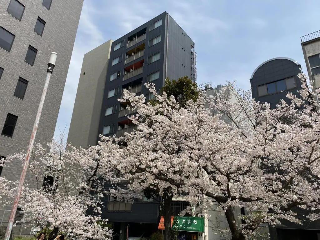 ffosaka.com, Osaka, Japonia