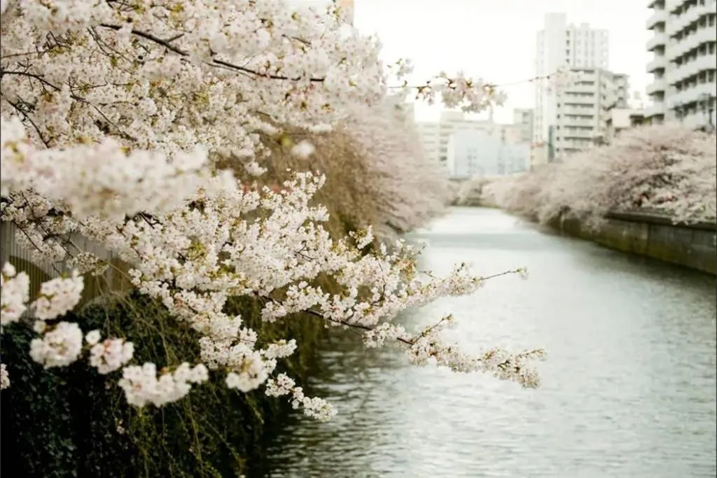 Simazuyama Square, Tokyo, Japonia