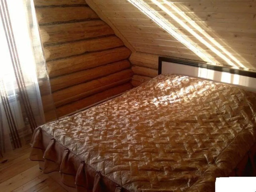 Дом для каникул, Kudrovo, Russia